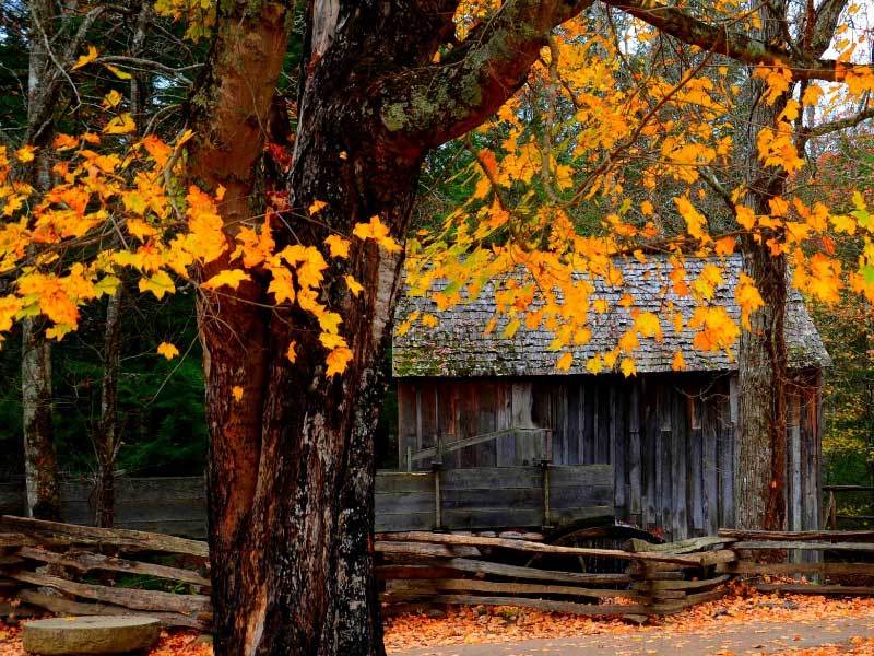 健康管理平台服务全面贴心瓦力棋牌科技公司